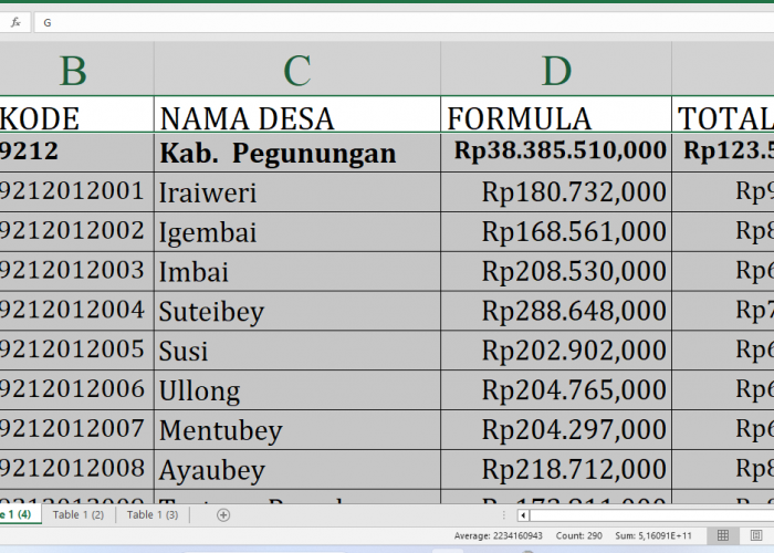 Wow! Anggaran Desa Tahun 2025 di Pegunungan Arfak Capai Rp123,5 Miliar, Cek Desa Anda!