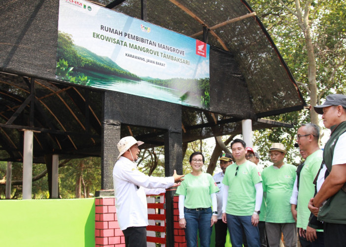 AHM Tanam 15.000 Mangrove di Karawang, Perkuat Ekowisata dan Dukung Ekonomi Masyarakat