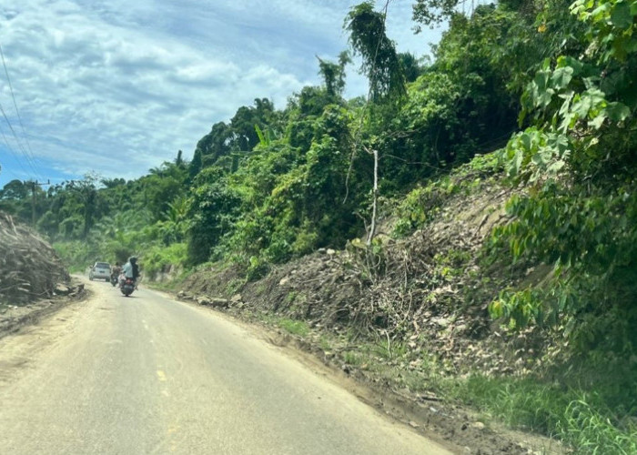 Cuaca Ekstrem Melanda Bengkulu Selatan, Waspadai Longsor dan Pohon Tumbang