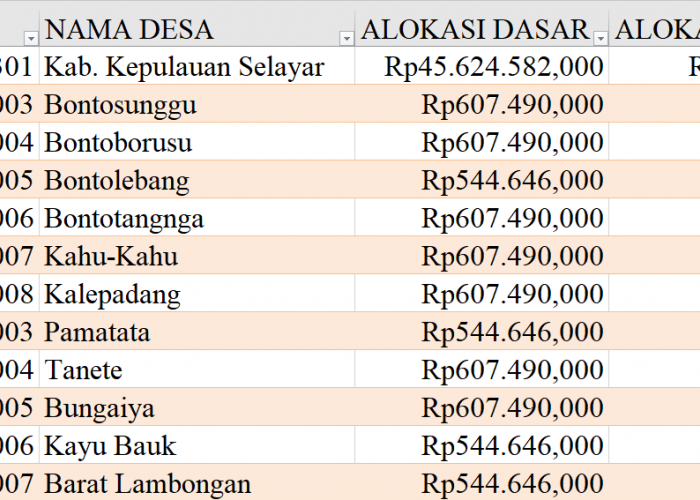 Tabel Rincian Dana Desa 2024 Kabupaten Kepulauan Selayar, Sulawesi Selatan: Ini Lengkapnya