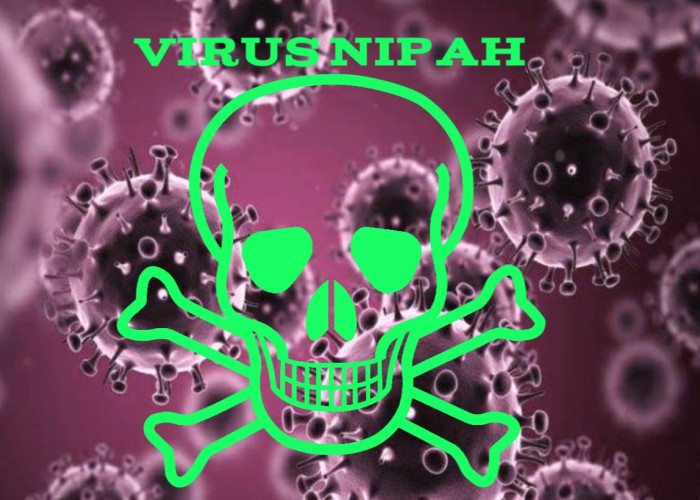 Waspada! Virus Nipah Bisa Menular Antar Manusia dan Sebabkan Kematian, Beresiko jadi Pandemi