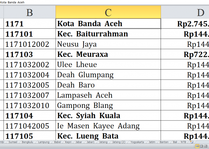 Desa di Kota Banda Aceh, Sabang, Lhokseumawe, Langsa dan Subulussalam Raih Dana Insentif Desa Tahun 2024