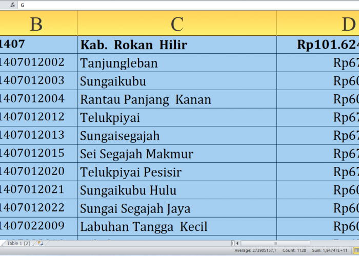 Rincian Dana Desa 2025 Rokan Hilir Provinsi Riau Rp152 miliar, Berikut Jumlah per Desa: Simak yang Terbesar