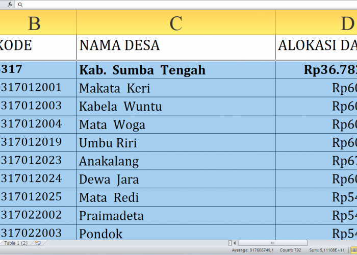 Rincian Dana Desa 2025 Tiap Desa di Sumba Tengah Nusa Tenggara Timur, Total Rp60,4 Miliar: Ini Desa Terbesar