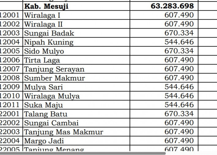 Bagaimana Rincian Dana Desa 2024 Mesuji, Lampung? Cek Jawabannya di Sini