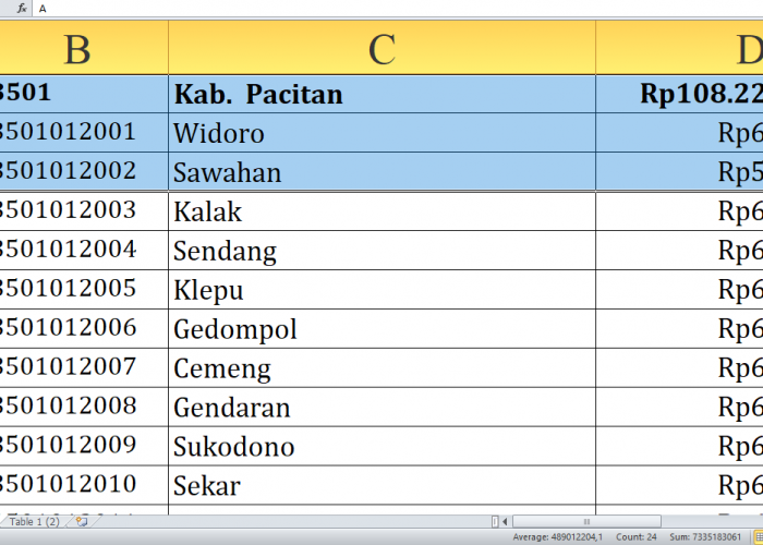 Rincian Dana Desa 2025 Pacitan Jawa Timur Rp164,9 miliar, Berikut Detail per Desa: Simak yang Terbesar