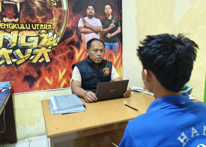 Gasak Motor Mahasiswa saat Tidur, Pemuda di Bengkulu Utara Ditangkap Polisi di Kebun Kopi