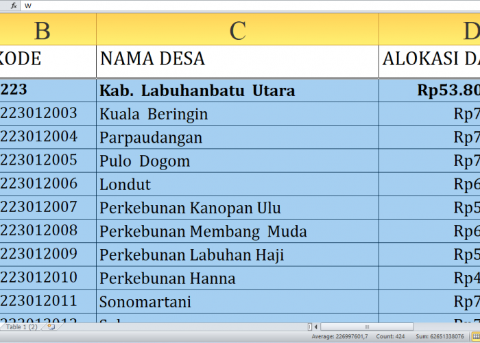 Dana Desa 2025 Labuhanbatu Utara Rp85,8 miliar, Berikut Rincian per Desa: Simak yang Terbesar