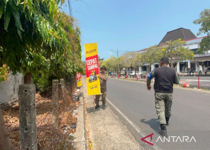 Ratusan Reklame Ditertibkan di Kota Bengkulu, Baliho Menunggak Pajak Jadi Sasaran