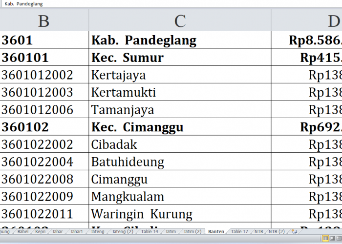 63 Desa di Kabupaten Pandeglang Provinsi Banten Raih Dana Insentif Desa 2024, Lengkapnya di Sini