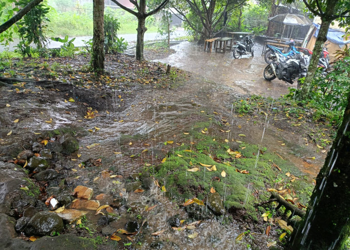 Prakiraan Cuaca: Hujan Setiap Hari di Rejang Lebong, Waspada Banjir dan Longsor
