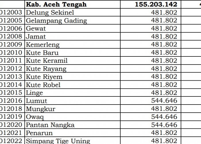 Ini Pembagian Dana Desa 2024 Aceh Tengah, Aceh! 10 Desa 1 Miliar