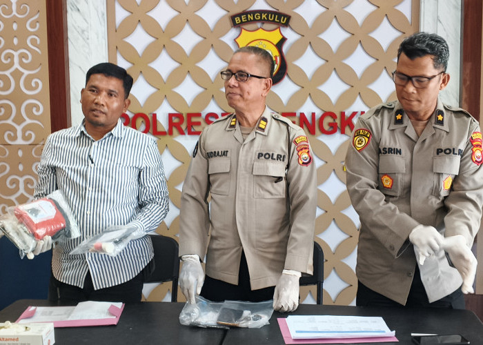 Bekuk 6 Tersangka, Satnarkoba Polresta Bengkulu Amankan Setengah Kilo Ganja   