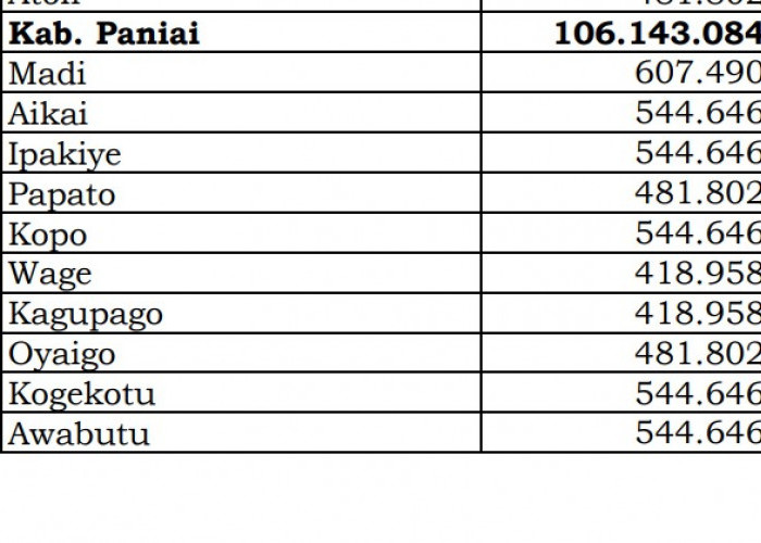Dana Desa Tiap Desa 2024 di Paniai, Papua Tengah: 20 Desa 1 Miliar
