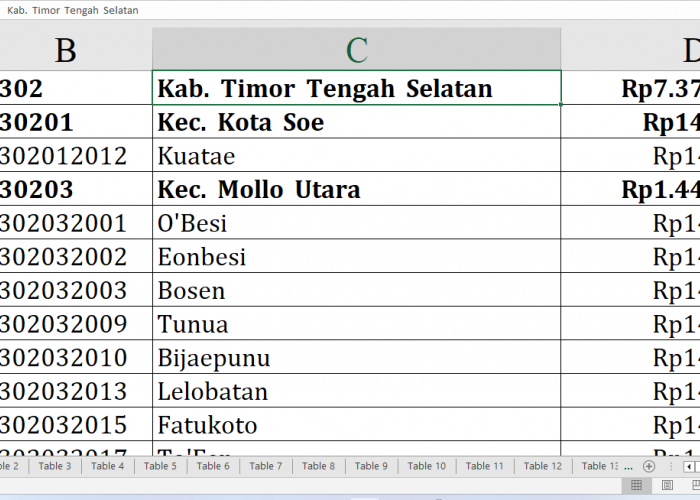 Ini Daftar 51 Desa di Timor Tengah Selatan Raih Dana Insentif Desa 2024