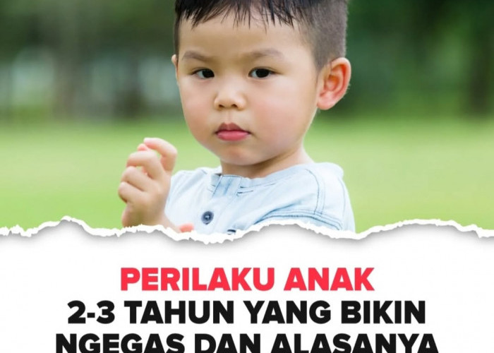 Perkembangan Perilaku Anak 2-3 Tahun yang Bikin Ngegas dan Alasannya