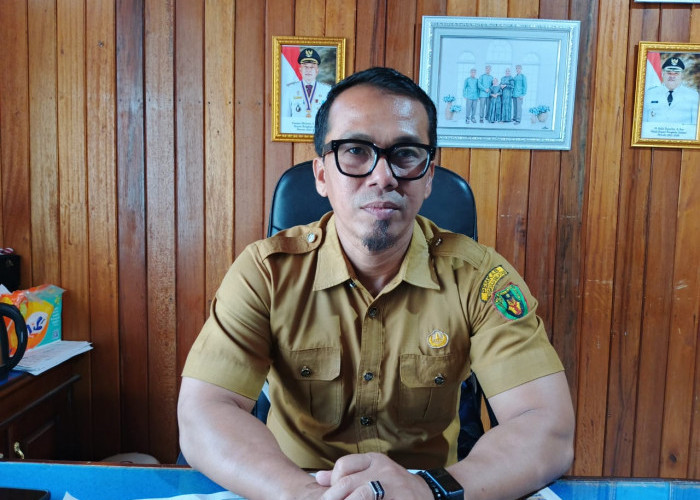 Ciptakan Ruang Terbuka Hijau, Pedagang Taman Merdeka Kota Manna Resmi Direlokasi ke Pantai Pasar Bawah