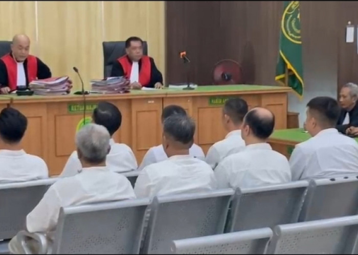 Kasus Tambang Bengkulu, Beby Hussy Dituntut Berlapis, Kuasa Hukum Soroti Pembagian Tanggung Jawab