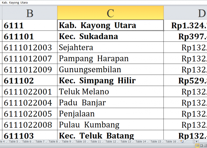 Desa di Kabupaten Ketapang, Kayong Utara, dan Kubu Raya, Kalimantan Barat, Raih Dana Insentif Desa 2024