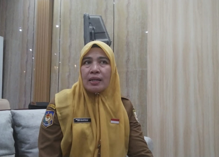 Peserta PPPK Paruh Waktu Bengkulu yang Sempat TMS Kini Lolos, Pertek Tersisa 30 Berkas