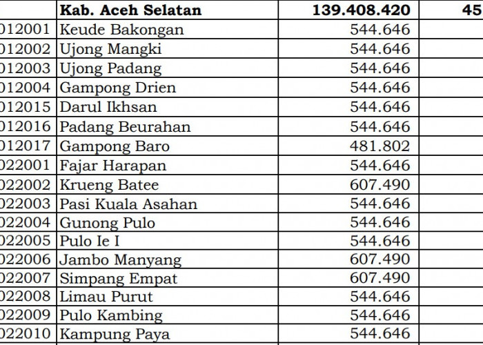 Ini Pembagian Dana Desa 2024 Aceh Selatan, Aceh! 6 Desa 1 Miliar