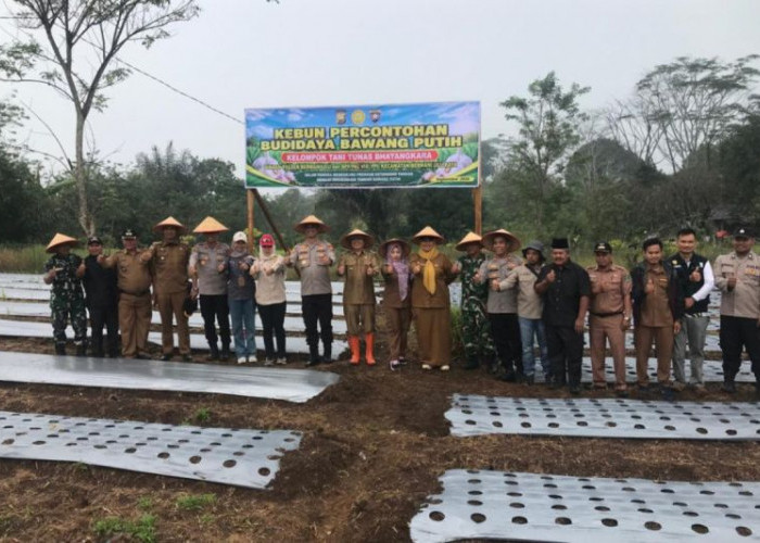 Polres Rejang Lebong Kembangkan Bawang Putih di Lahan 0,25 Hektare