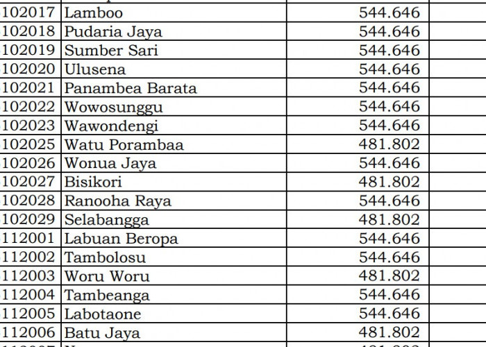 Dana Desa Tiap Desa 2024 Konawe Selatan 2, Sulawesi Tenggara: Ini Rinciannya