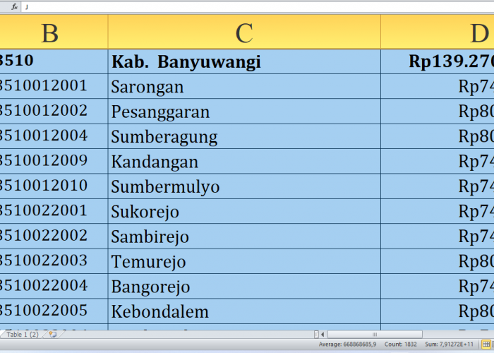 Berapa Rincian Dana Desa 2025 untuk Desa di Banyuwangi Provinsi Jawa Timur? Rp239,7 Miliar, Berikut Lengkapnya