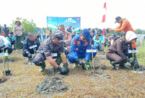 Hari Mangrove Sedunia, Lanal Bengkulu Tanam 6.000 Bibit Mangrove
