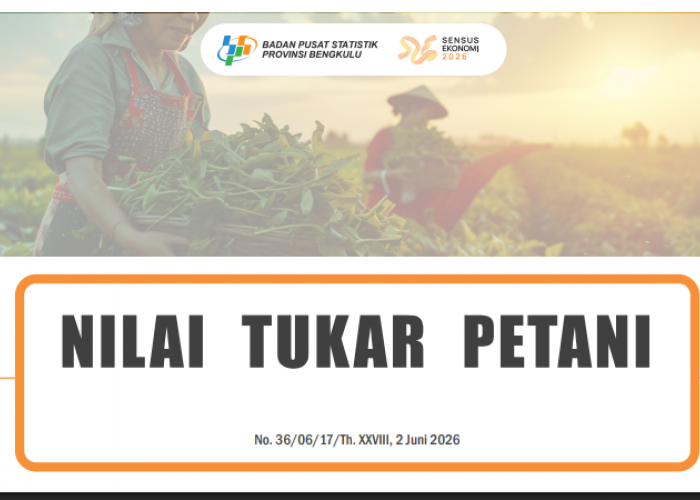 NTP Bengkulu Mei 2026 Turun, Kenaikan Biaya Produksi Lampaui Pertumbuhan Harga Hasil Pertanian