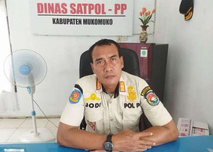 Satpol PP Mukomuko Tegakkan Perda dengan Penertiban Hewan Ternak, Denda Rp24 Juta Disetorkan ke Kas Daerah