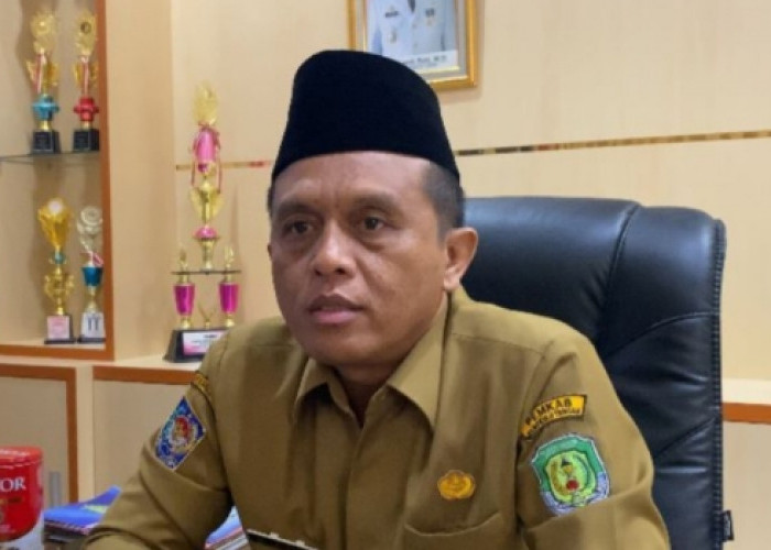 Baru 133 Pelamar Mendaftar CPNS di Kabupaten Bengkulu Tengah, Khusus Tamatan SMK Ini Persyaratannya