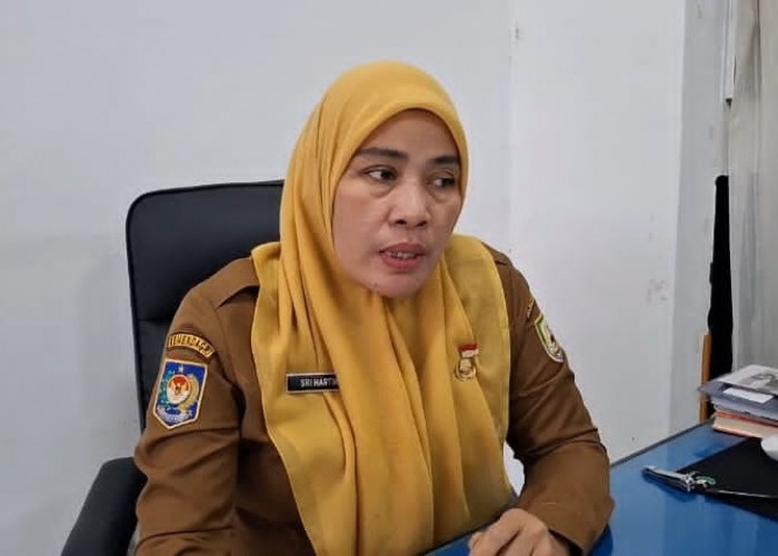 Pertek PPPK Paruh Waktu Bengkulu Hampir Rampung, 4.365 Usulan Sudah Terbit