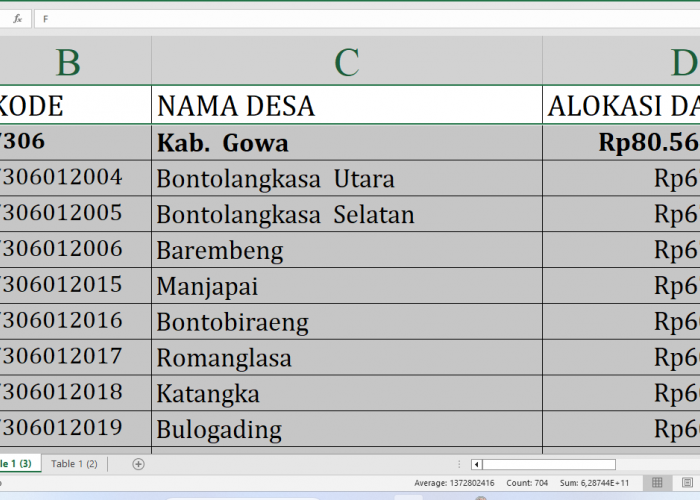 Rincian Dana Desa 2025 Gowa Sulawesi Selatan Rp121,2 miliar, Berikut Detail per Desa: Simak yang Terbesar