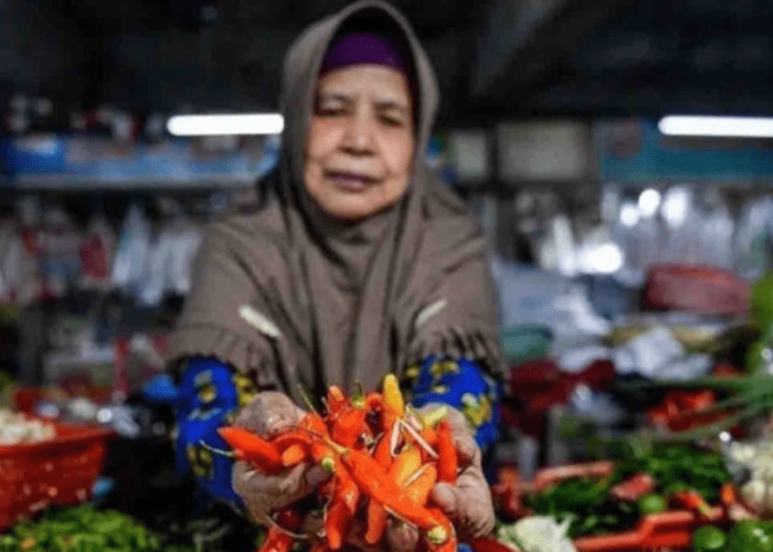 Bapanas Rilis Harga Pangan: Bawang Putih, Bawang Merah, dan Cabai Merah Keriting Terpantau Naik