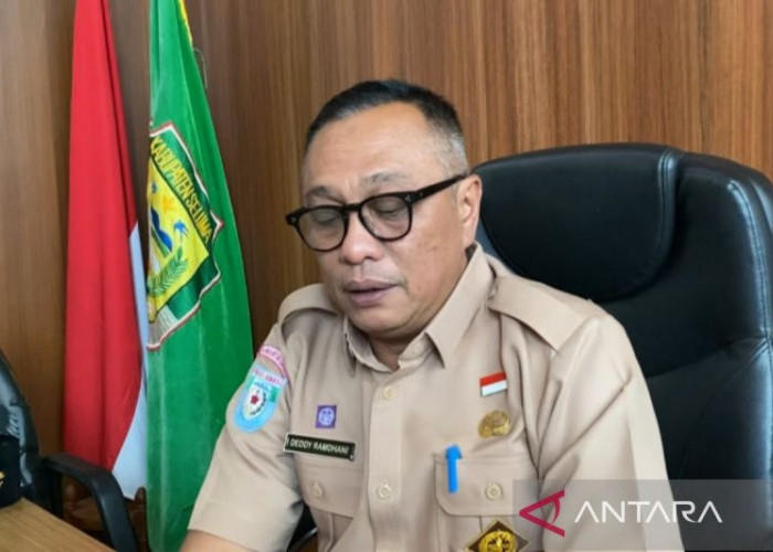 253 Pegawai Seluma Terindikasi Judol, Transaksi Rp832 Juta Termasuk Sekali Transfer Rp40 Juta