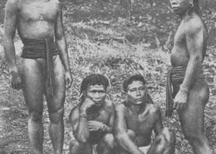 Suku Dayak Punan Asal Kalimantan, Suku Tertua yang Ternyata Keturunan Cina