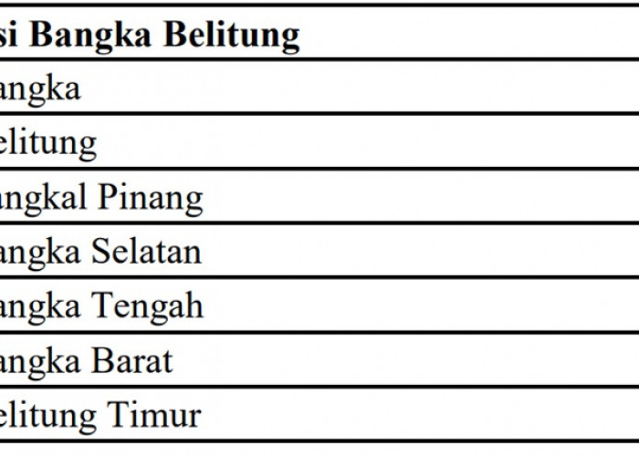 Pagu Dana Desa (DD) Tahun 2024 untuk Provinsi Bangka Belitung: Terbesar Kabupaten Bangka