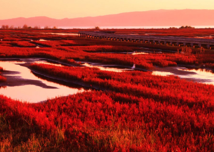 Danau Merah Di Jepang Dengan Pesona Matahari Terbenam Dan Langit Malam Penuh Bintang, Turis wajib Kesini