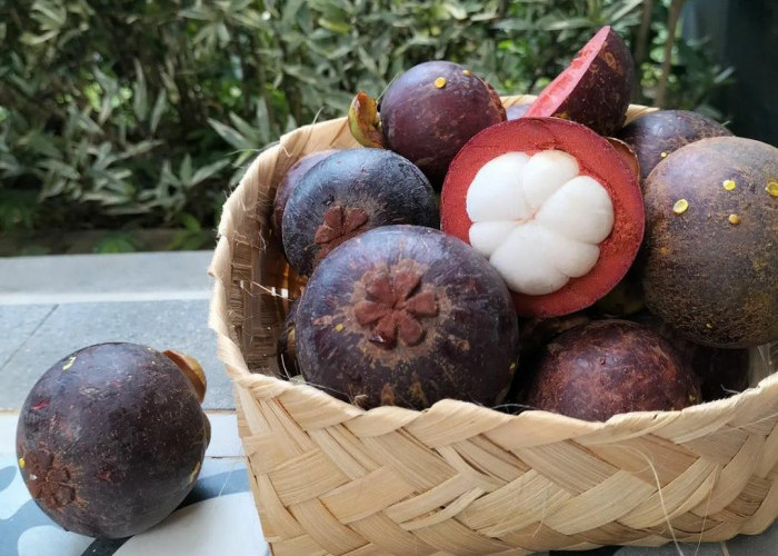 11 Manfaat Kesehatan Menakjubkan dari Buah Manggis yang Wajib Anda Ketahui