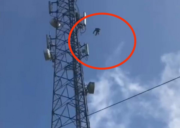 Heboh! Pria di Lebong Nekat Loncat dari Tower Setinggi 50 Meter