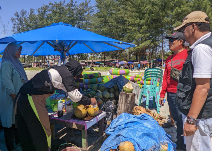 Harga Kelapa Dikeluhkan Wisatawan, Dispar Bengkulu Imbau Pedagang Pantai Jakat Patuhi HET
