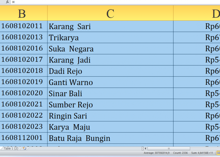 Rincian Dana Desa Tiap Desa Tahun 2025 Oku Timur, Total Rp263,3 Miliar: Ini Desa Terbesar Mulai Huruf N-Y