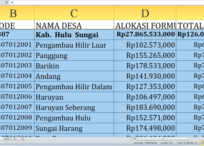 Rincian Lengkap Dana Desa 2025: Hulu Sungai Tengah Provinsi Kalimantan Selatan Dapat Jatah Rp126 Miliar!