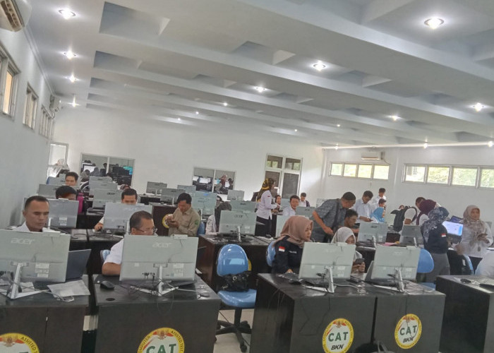 Nasib 143 Honorer Lebong: 103 Kantongi Pertek BKN, Sisanya Masih Diperjuangkan