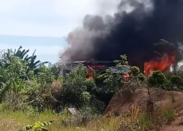 Rumah Warga Mukomuko Ludes Terbakar Saat Ditinggal Panen, Kerugian Capai Rp 85 Juta