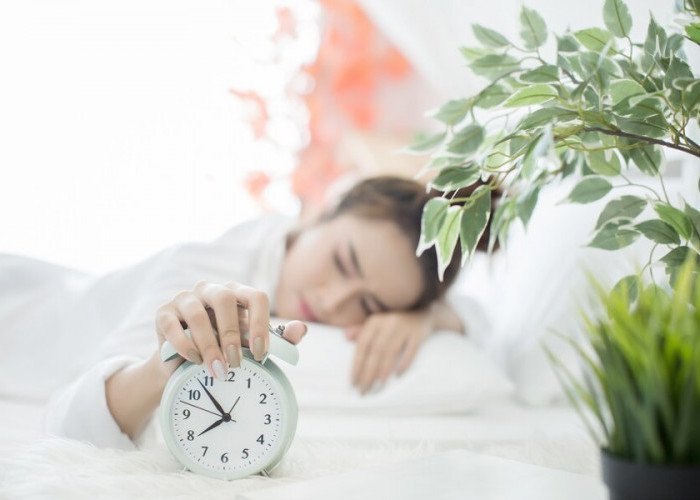 Banyak yang Gak Tahu! Kebiasaan Tidur Pagi Hari Ternyata Bahaya untuk Kesehatan, Ini 6 Cara Mengatasinya