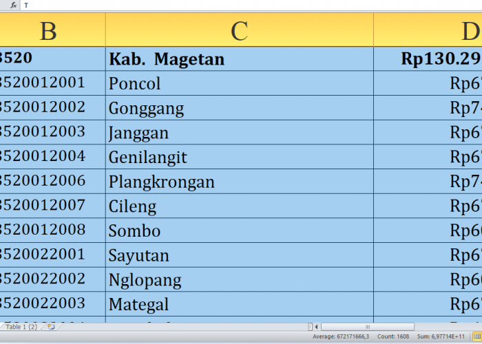 Berapa Rincian Dana Desa 2025 untuk Desa di Magetan Provinsi Jawa Timur? Rp188,3 Miliar, Berikut Lengkapnya