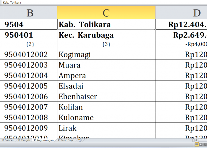 103 Desa di Kabupaten Tolikara Raih Dana Insentif Desa Tahun 2024, Berikut Ini Daftarnya