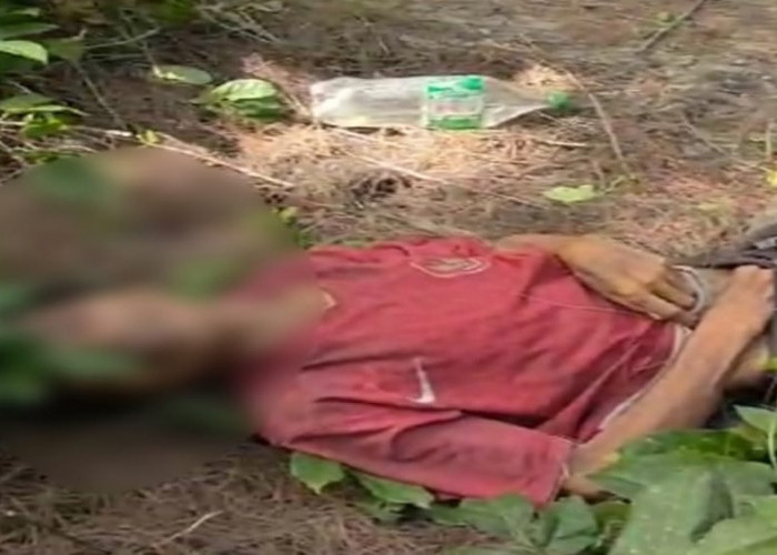 Jasad Pria Berkaos Merah Ditemukan di Lentera Hijau Pulau Baai, Ini Identitasnya!